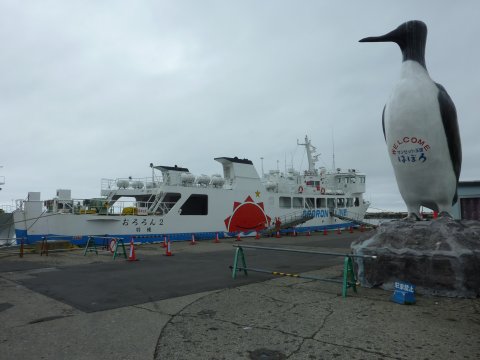 天売島へ行ってきま~す♪