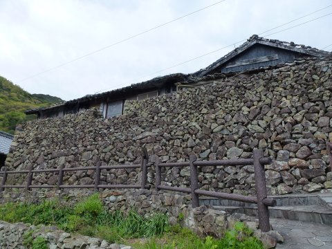 四国の旅(14亀)(14日目)