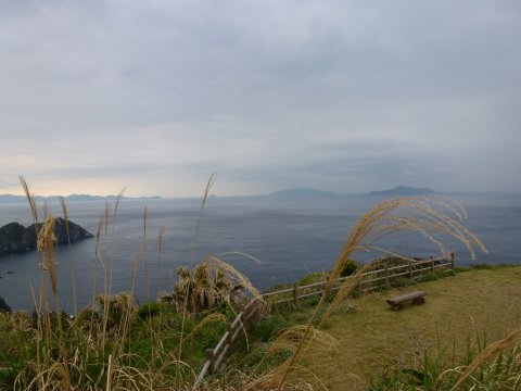 四国の旅(14亀)(14日目)
