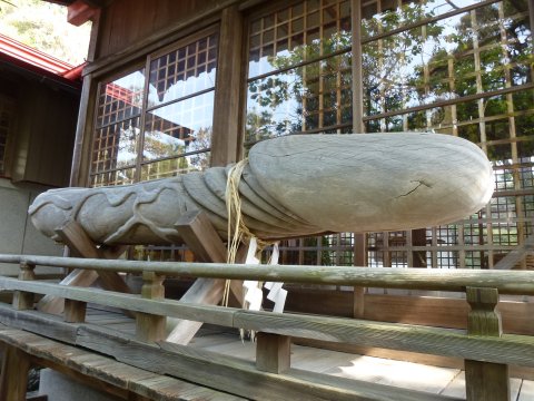 四国の旅(15亀)(15日目) 18歳未満観覧なるべく禁止