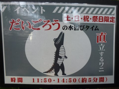 四国の旅(15亀)(15日目) 18歳未満観覧なるべく禁止