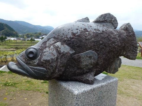 四国の旅(15亀)(15日目) 18歳未満観覧なるべく禁止