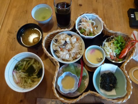 四国の旅(15亀)(15日目) 18歳未満観覧なるべく禁止