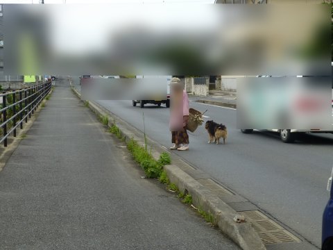 温和な島　道路状況