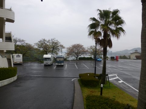 雨の日はやはり これでしょう♪