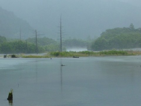 東北方面へ旅 8月14日