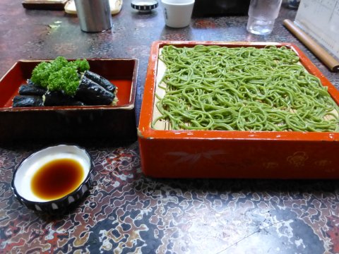 旅の中休憩(=^・・^=)