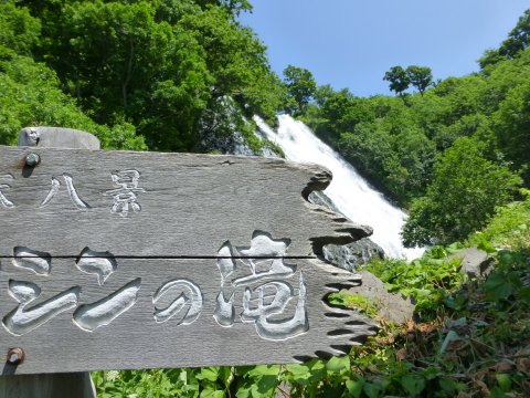 桜マスが飛び跳ねる滝