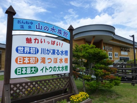 世界初! 日本初! 日本最大!