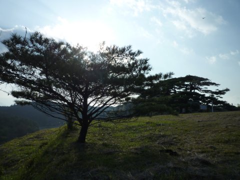 第26回八代全国花火競技大会