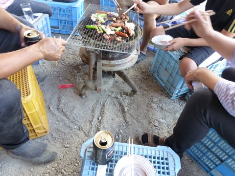 さくらんぼ収穫(=^・・^=)
