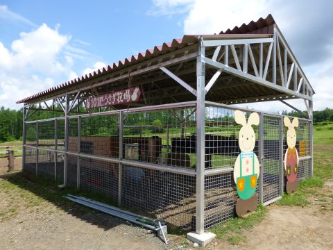 富良野の花 全馬力(=^・・^=)