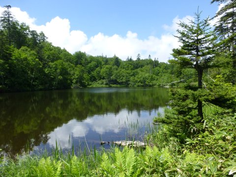 北海道名の誕生地