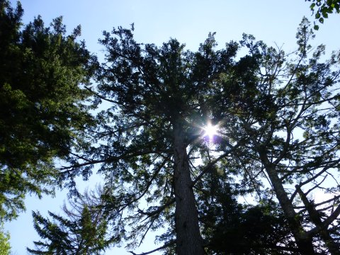 北海道名の誕生地