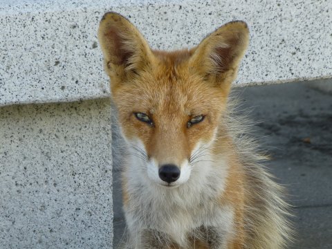 北海道名の誕生地