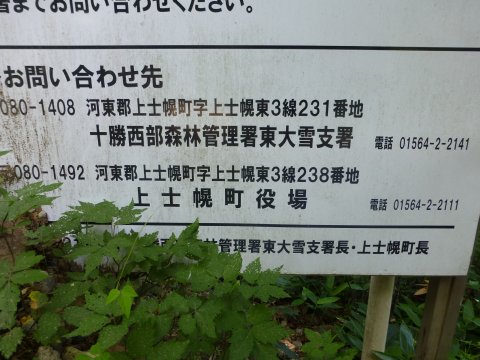 タウシュベツ橋