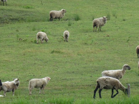 北海道を代表する庭園