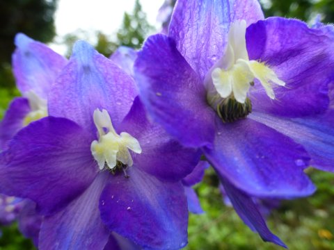 北海道を代表する庭園