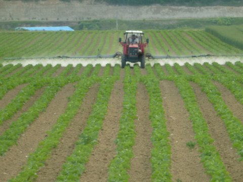 神秘の池と頑張るマスの滝登り