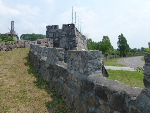 北海道 枝幸かに祭り