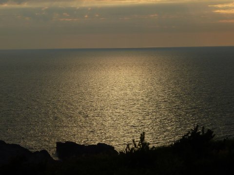 東北方面へ旅 8月30日