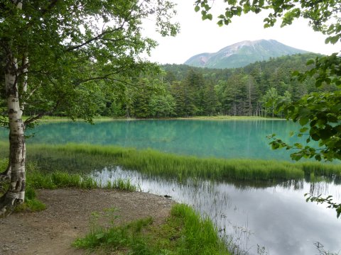 年老いた沼
