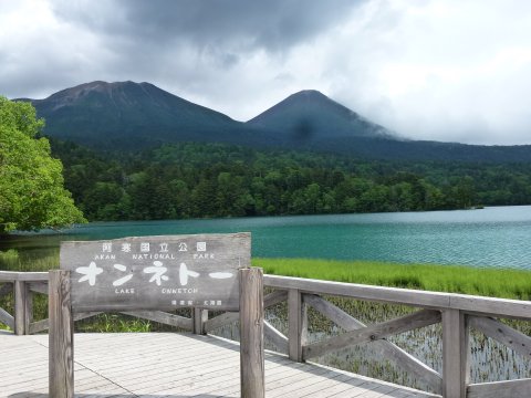 年老いた沼