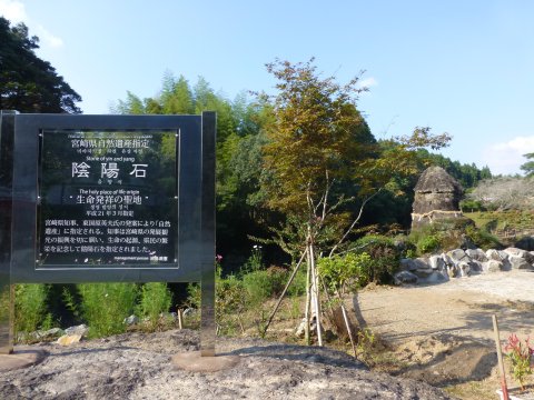 北海道旅報告旅(=^・・^=)