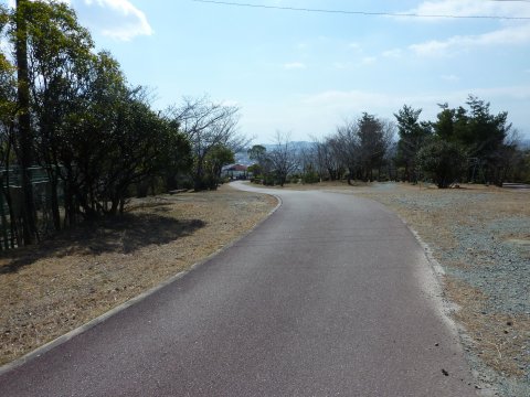 陽だまりの中を夫婦で散歩♪