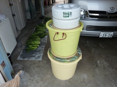 気合だぁ!