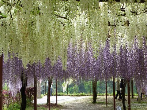 君は何を思い何処を見つめてるの
