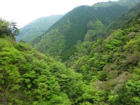 九州の秘境へ