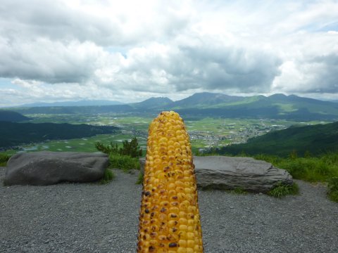 夏と言ったらトウモロコシ
