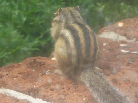 東北方面へ旅2011/07/20出撃 10日目(29日)