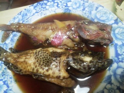 アオリイカと魚の料理