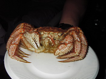 然別湖で漕ぐ・漕ぐ・漕ぐ~~ぅ