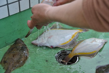 今年も豊浦恒例キャンプ!!