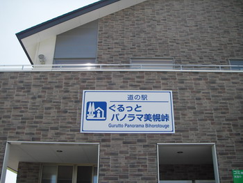 今年の和琴は優しかった~♪