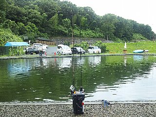 久々のお寺3池