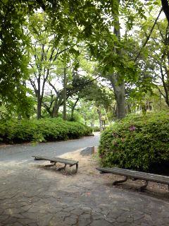 公園でランチ