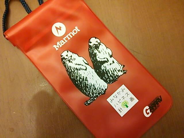 付録欲しさに
