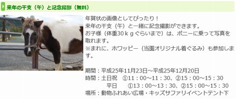 サファリ情報