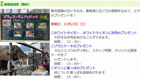 サファリ情報