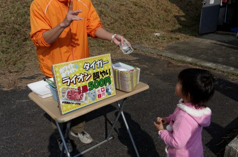サファリ情報