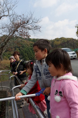 サファリ情報