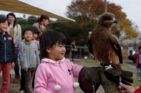 サファリ情報