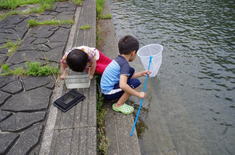 初夏キャンプ④
