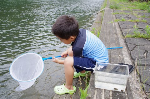 初夏キャンプ④