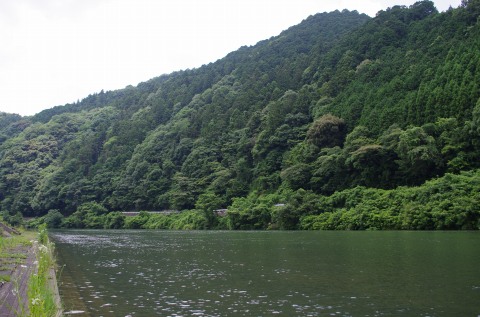 初夏キャンプ④