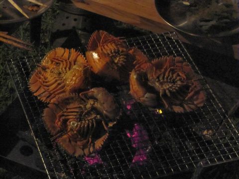 竜王山でのひととき!